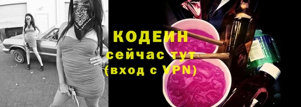 хмурый Абинск