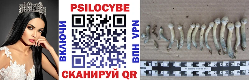 Псилоцибиновые грибы прущие грибы  Рославль 