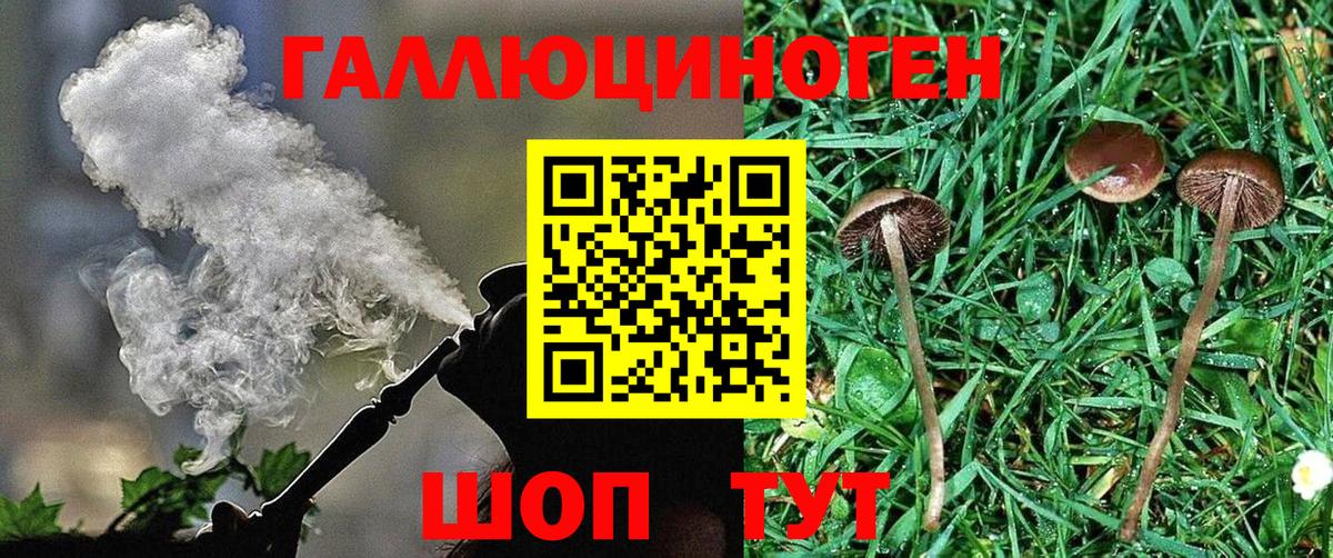 Галлюциногенные грибы прущие грибы  Вход с VPN  сколько стоит  Рославль 